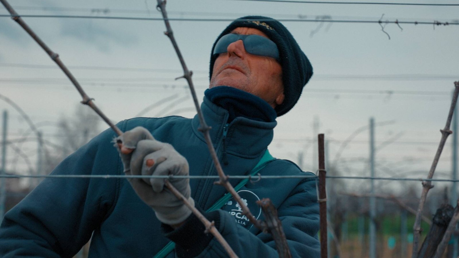 Lambrusco Republic, serie documentaria di Andrea Mignòlo – la potatura